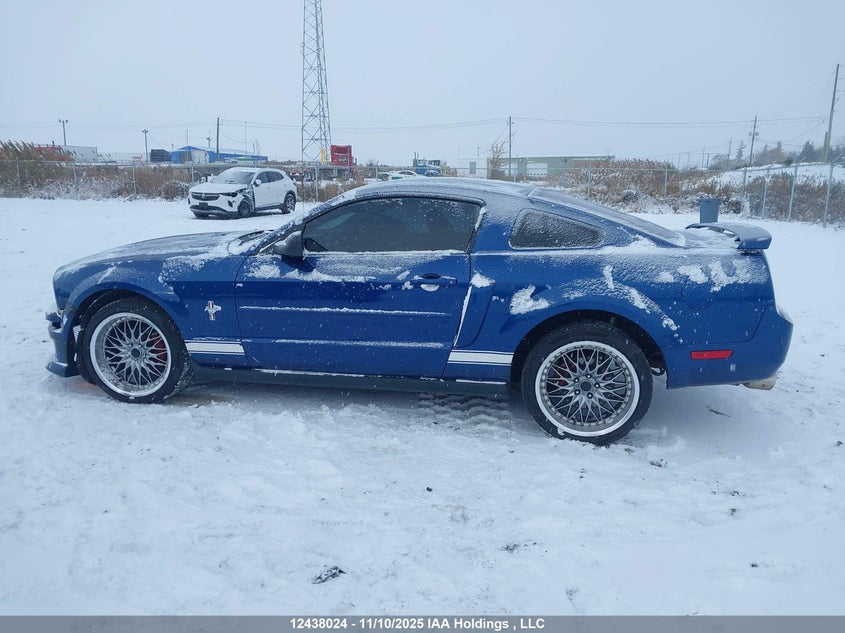 2006 Ford Mustang V6 VIN: 1ZVFT80N165170484 Lot: 12438024