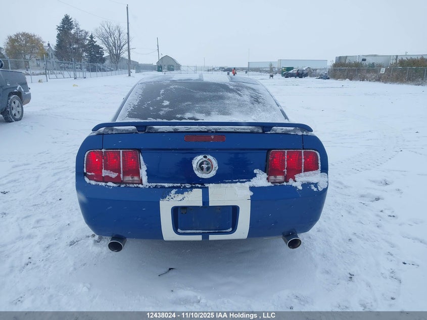 2006 Ford Mustang V6 VIN: 1ZVFT80N165170484 Lot: 12438024