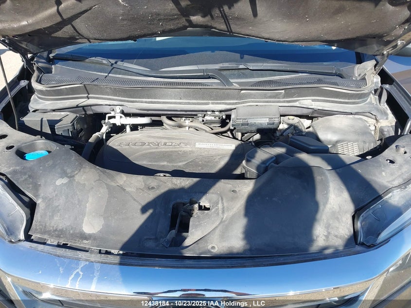 2020 Honda Pilot Ex-L Navi VIN: 5FNYF6H75LB504894 Lot: 12438184