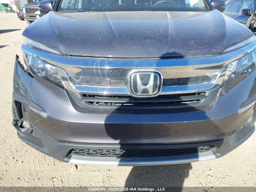 2020 Honda Pilot Ex-L Navi VIN: 5FNYF6H75LB504894 Lot: 12438184