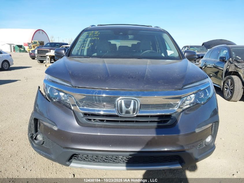 2020 Honda Pilot Ex-L Navi VIN: 5FNYF6H75LB504894 Lot: 12438184