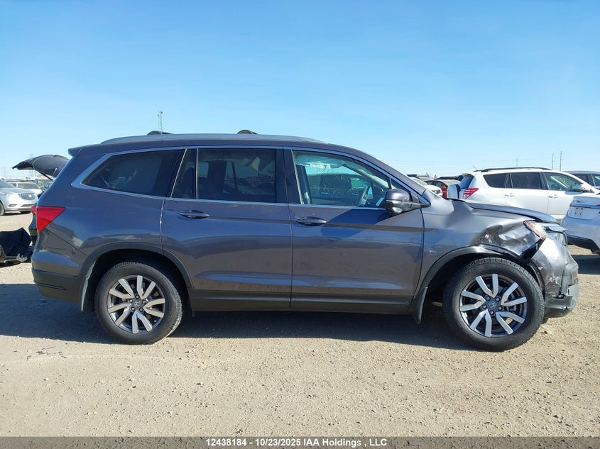 2020 Honda Pilot Ex-L Navi VIN: 5FNYF6H75LB504894 Lot: 12438184