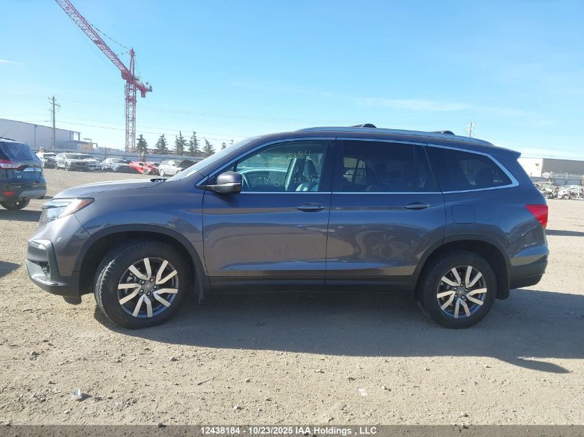 2020 Honda Pilot Ex-L Navi VIN: 5FNYF6H75LB504894 Lot: 12438184