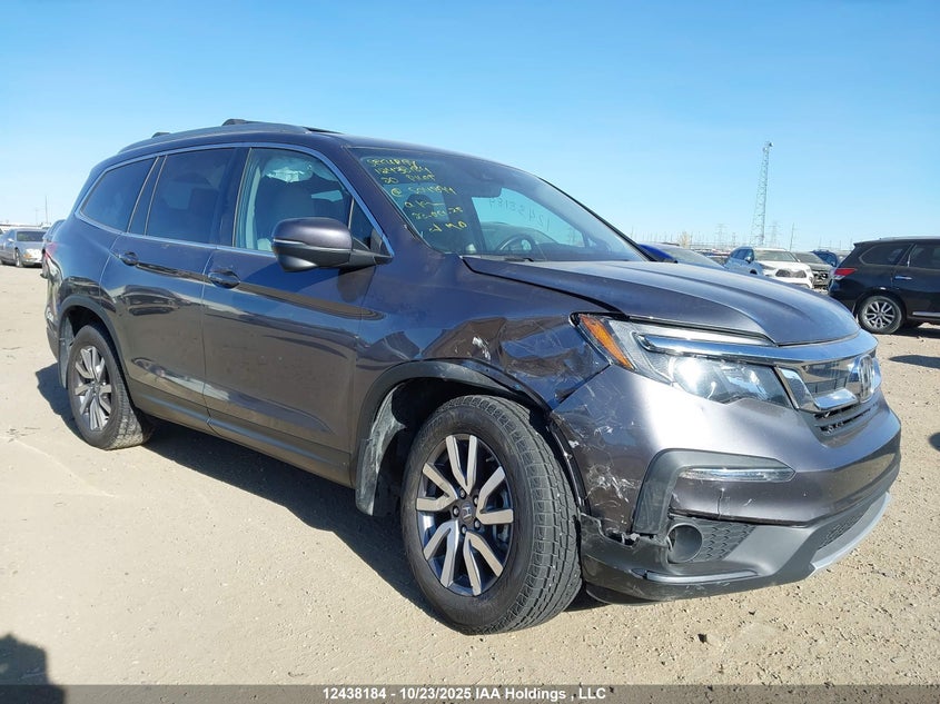 5FNYF6H75LB504894 2020 Honda Pilot Ex-L Navi auction photo 1