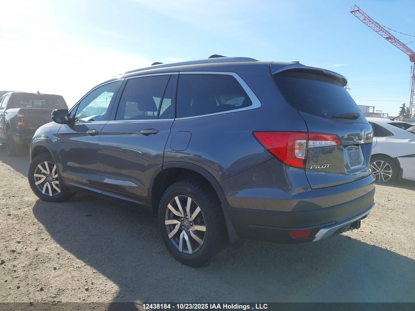 5FNYF6H75LB504894 2020 HONDA PILOT photo no. 3