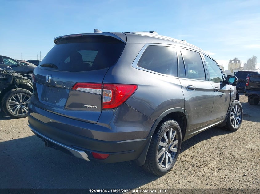 5FNYF6H75LB504894 2020 HONDA PILOT photo no. 4