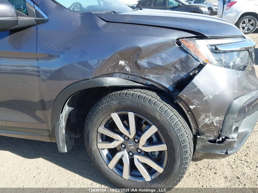 2020 Honda Pilot Ex-L Navi VIN: 5FNYF6H75LB504894 Lot: 12438184