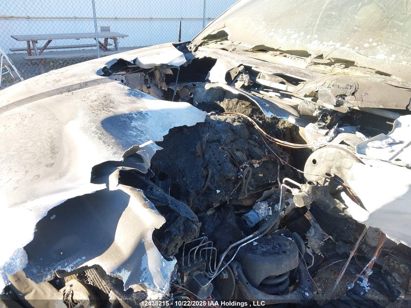 1FTFW1EG2HKD98655 2017 FORD F-150 photo no. 10