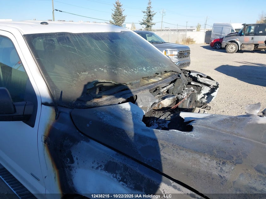 1FTFW1EG2HKD98655 2017 FORD F-150 photo no. 12