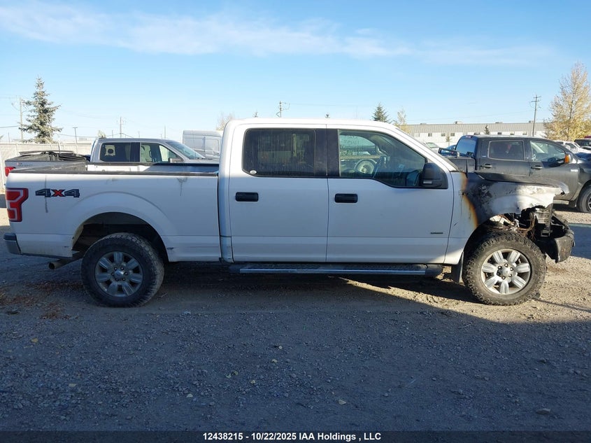 1FTFW1EG2HKD98655 2017 FORD F-150 photo no. 14