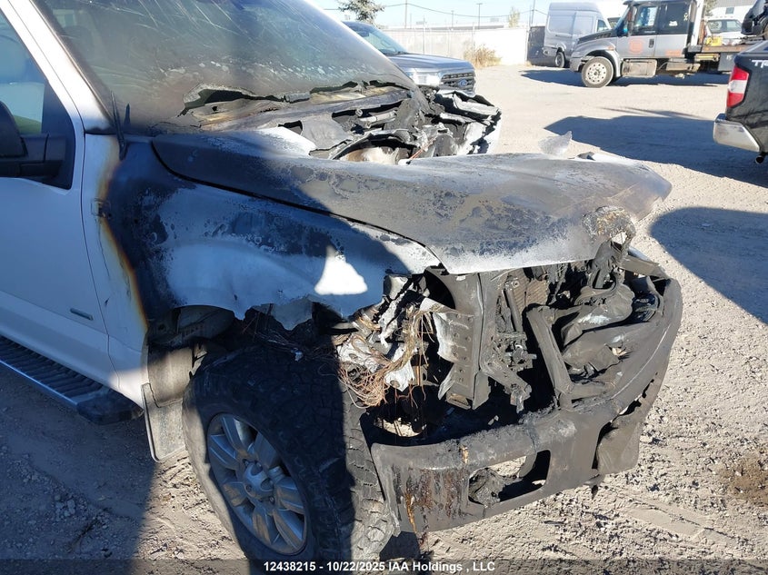 1FTFW1EG2HKD98655 2017 FORD F-150 photo no. 19