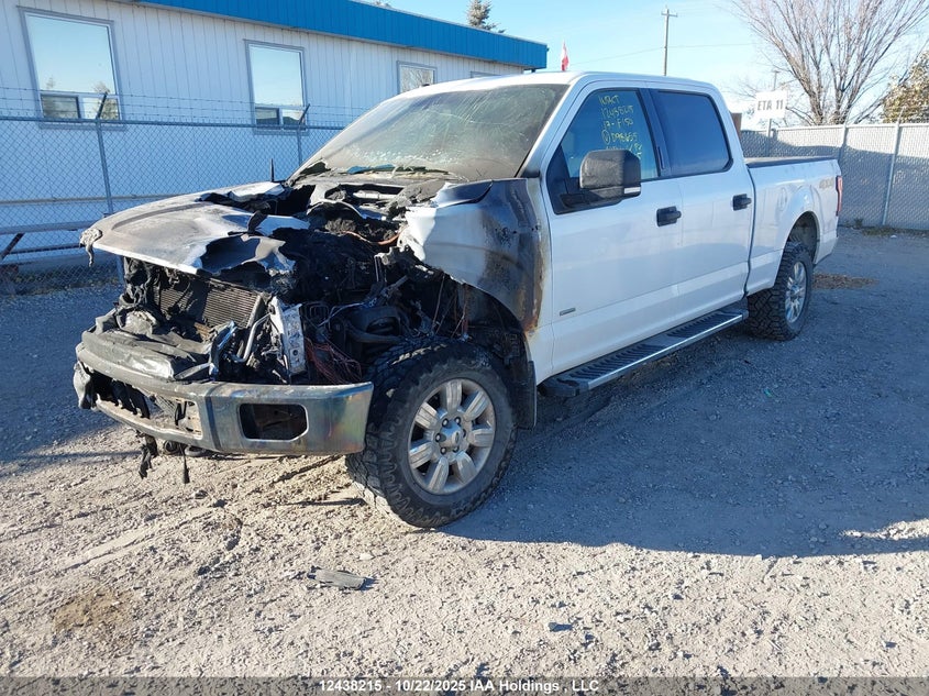 1FTFW1EG2HKD98655 2017 FORD F-150 photo no. 2