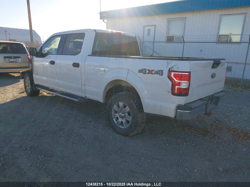 1FTFW1EG2HKD98655 2017 FORD F-150 photo no. 3