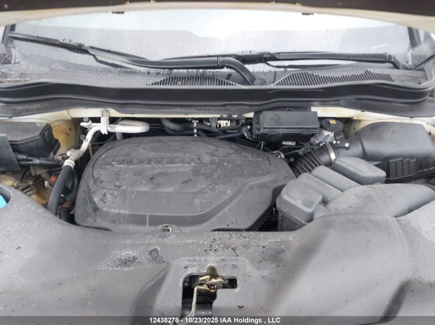 2025 Honda Passport Black Edition VIN: 5FNYF8H86SB500811 Lot: 12438278