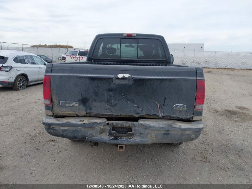 2001 Ford F-250 Lariat/Xl/Xlt VIN: 1FTNX21F31ED63932 Lot: 12438543