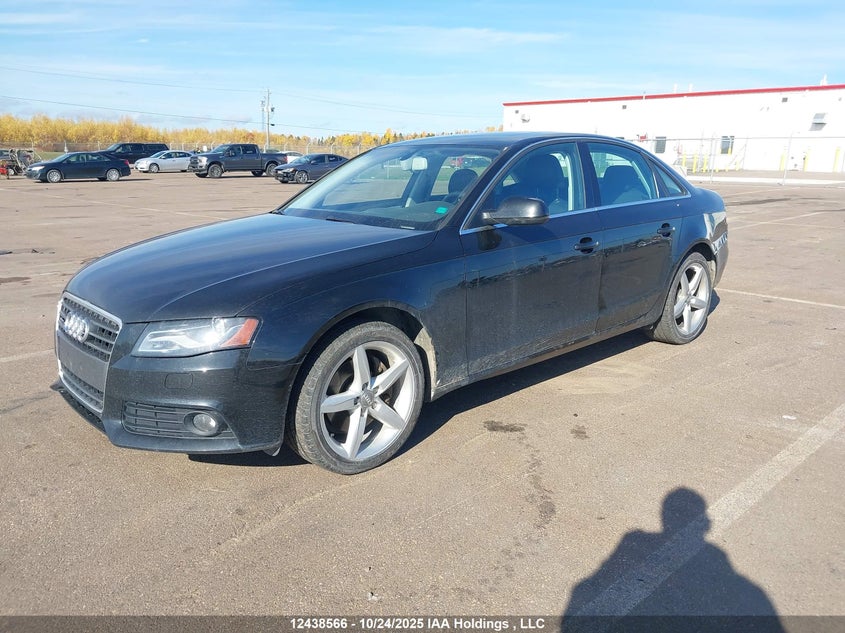 WAUFFCFLXCN007926 2012 AUDI A4 photo no. 2