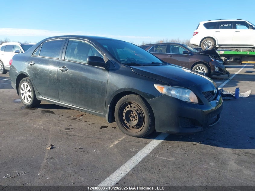 2T1BU4EE8AC226397 2010 Toyota Corolla auction photo 1