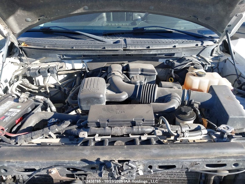 1FTFW1EV4AFD46604 2010 FORD F-150 photo no. 10