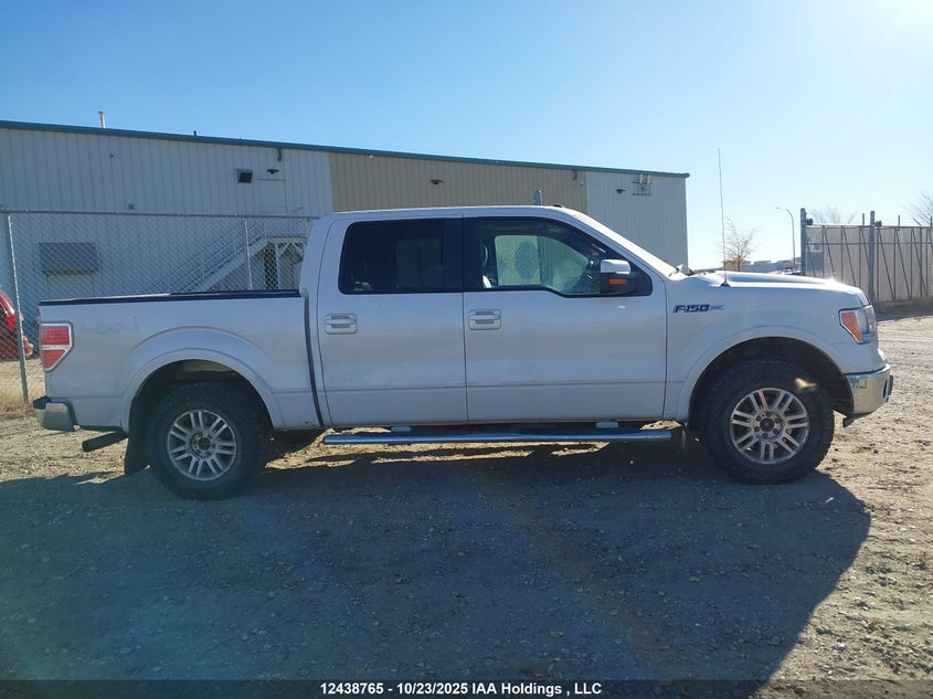 1FTFW1EV4AFD46604 2010 FORD F-150 photo no. 14