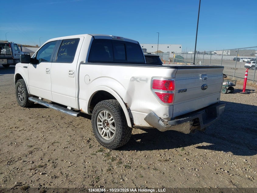 1FTFW1EV4AFD46604 2010 FORD F-150 photo no. 3