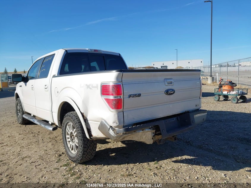 1FTFW1EV4AFD46604 2010 FORD F-150 photo no. 6