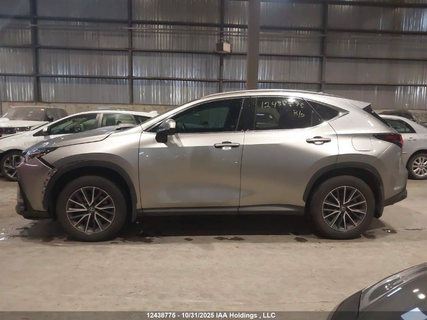 2025 Lexus Nx 450H+ VIN: JTJHKCFZXS2051305 Lot: 12438775
