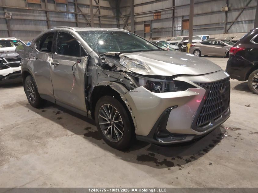 2025 Lexus Nx 450H+ VIN: JTJHKCFZXS2051305 Lot: 12438775
