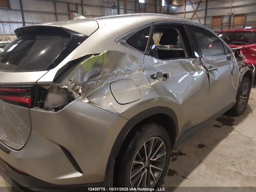 2025 Lexus Nx 450H+ VIN: JTJHKCFZXS2051305 Lot: 12438775
