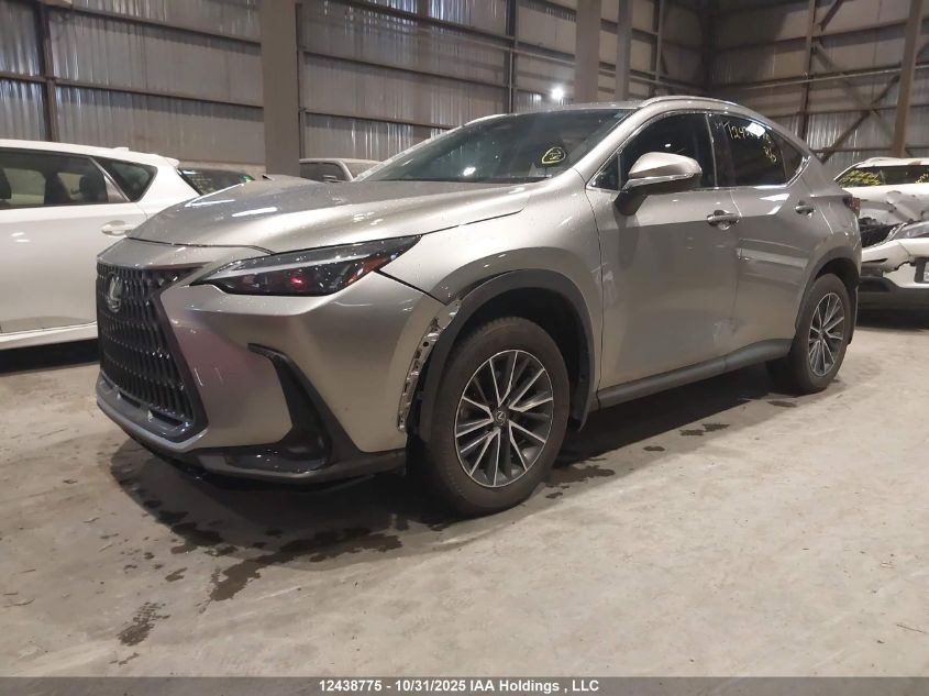 2025 Lexus Nx 450H+ VIN: JTJHKCFZXS2051305 Lot: 12438775