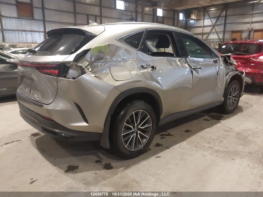 2025 Lexus Nx 450H+ VIN: JTJHKCFZXS2051305 Lot: 12438775
