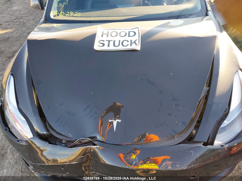 5YJ3E1EA2MF838608 2021 TESLA MODEL 3 photo no. 10