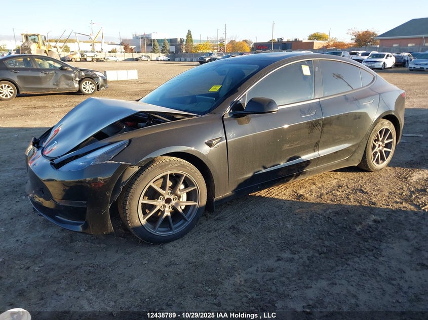 5YJ3E1EA2MF838608 2021 TESLA MODEL 3 photo no. 2