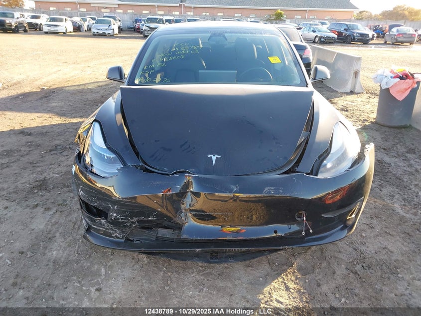 5YJ3E1EA2MF838608 2021 TESLA MODEL 3 photo no. 6