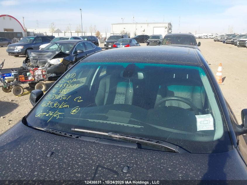 2010 BMW 535I xDrive VIN: WBANV9C53AC390561 Lot: 12438831