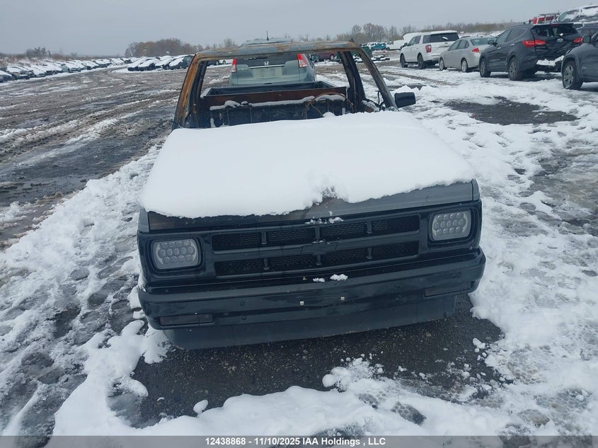 1GCCS14A2P0185095 1993 CHEVROLET S-10 PICKUP photo no. 11