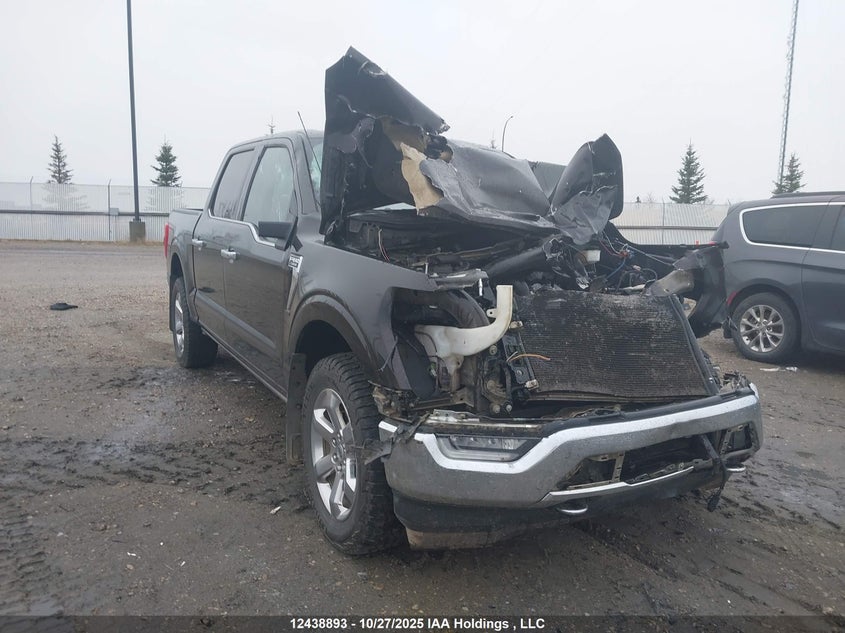 1FTFW1E87MFB97295 2021 FORD F-150 photo no. 12