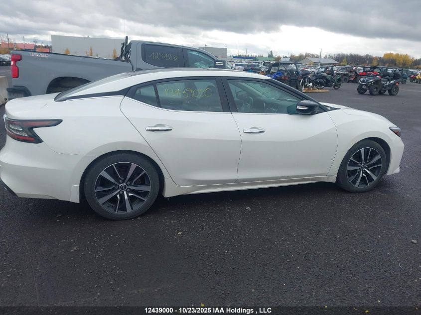 2023 Nissan Maxima Sl VIN: 1N4AA6DV7PC509639 Lot: 12439000