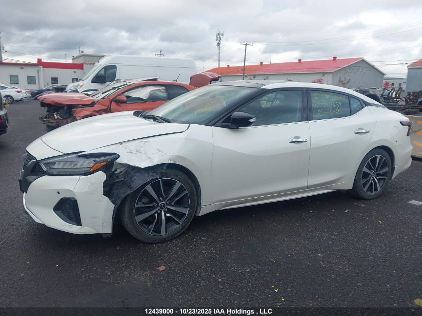 2023 Nissan Maxima Sl VIN: 1N4AA6DV7PC509639 Lot: 12439000