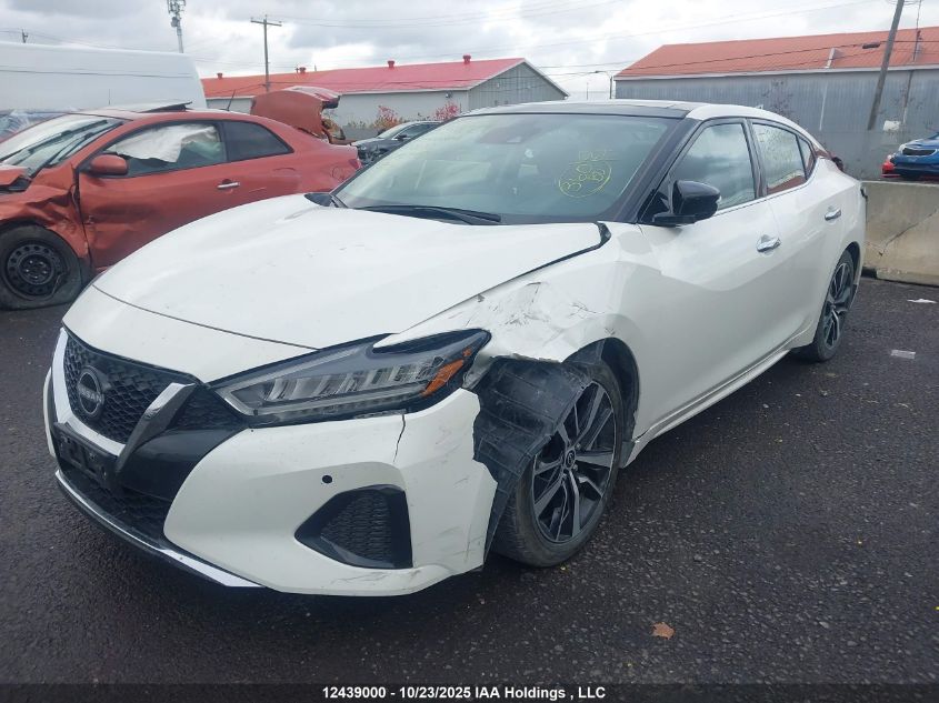 2023 Nissan Maxima Sl VIN: 1N4AA6DV7PC509639 Lot: 12439000
