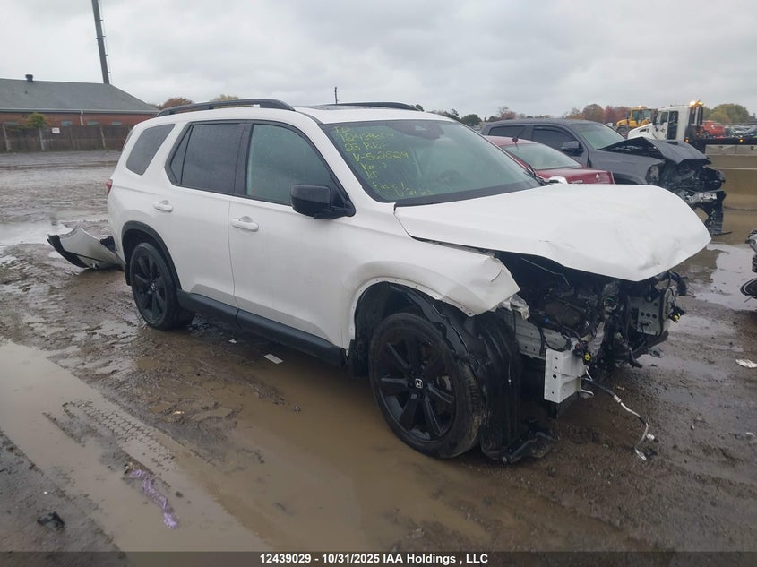 5FNYG1H88PB502829 2023 HONDA PILOT photo no. 10