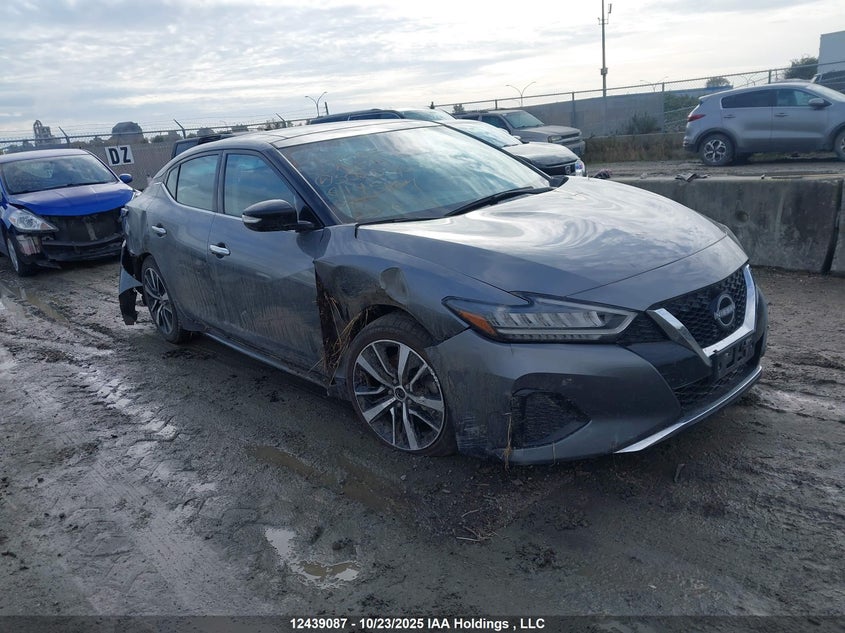2023 NISSAN MAXIMA SEDAN | 1N4AA6DV2PC508530
