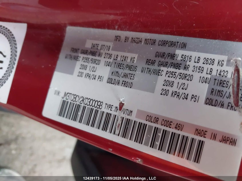 2019 Mazda Cx-9 Touring VIN: JM3TCBCY2K0300098 Lot: 12439173