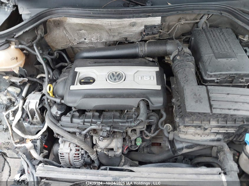 2014 Volkswagen Tiguan Comfortline/Highline/Trendline VIN: WVGJV3AX7EW505956 Lot: 12439184