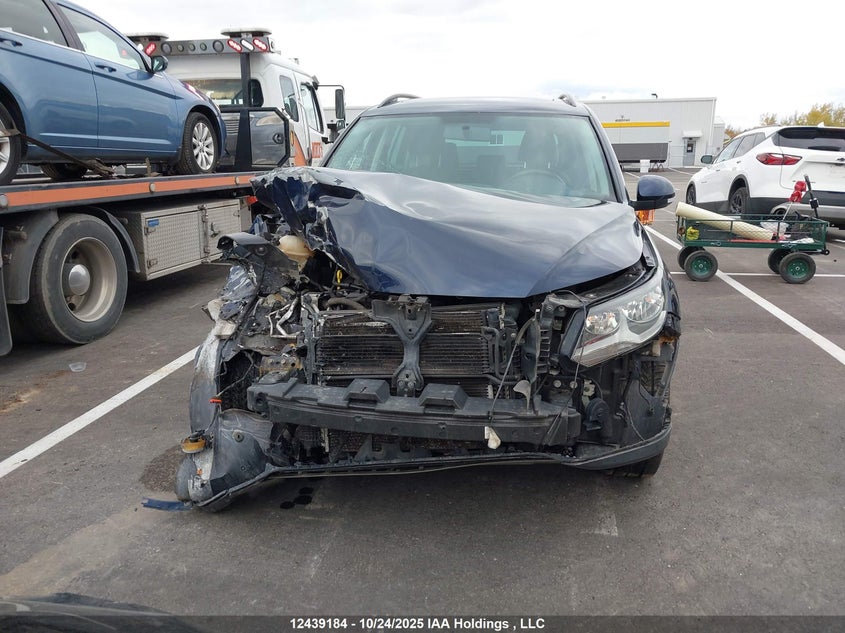 2014 Volkswagen Tiguan Comfortline/Highline/Trendline VIN: WVGJV3AX7EW505956 Lot: 12439184