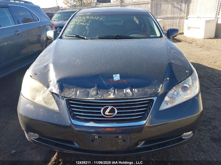 2009 Lexus Es 350 350 VIN: JTHBJ46GX92316605 Lot: 12439211