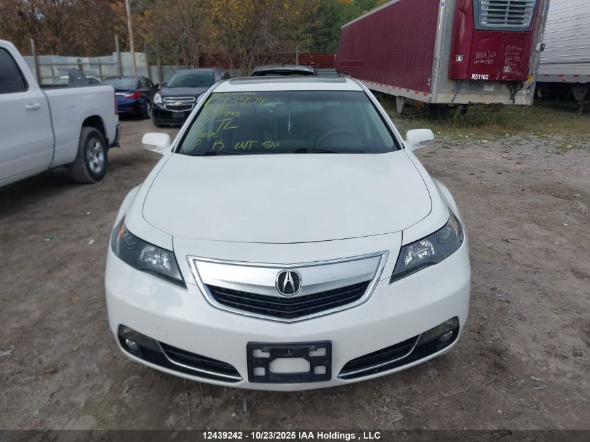 2013 Acura Tl Tech VIN: 19UUA8F52DA800381 Lot: 12439242
