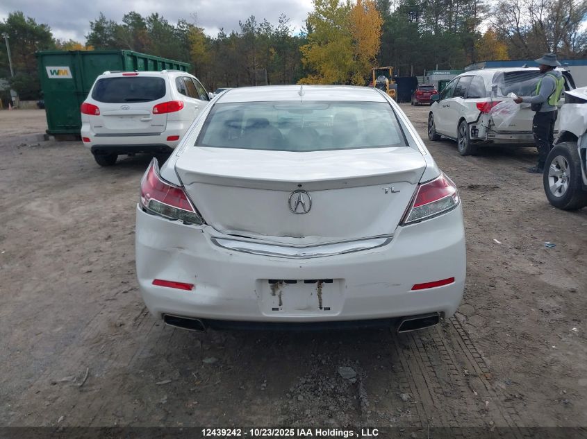 2013 Acura Tl Tech VIN: 19UUA8F52DA800381 Lot: 12439242