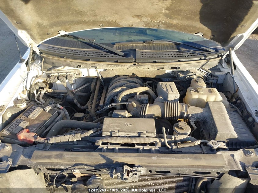 1FTFW1E81AFB31479 2010 FORD F-150 photo no. 10