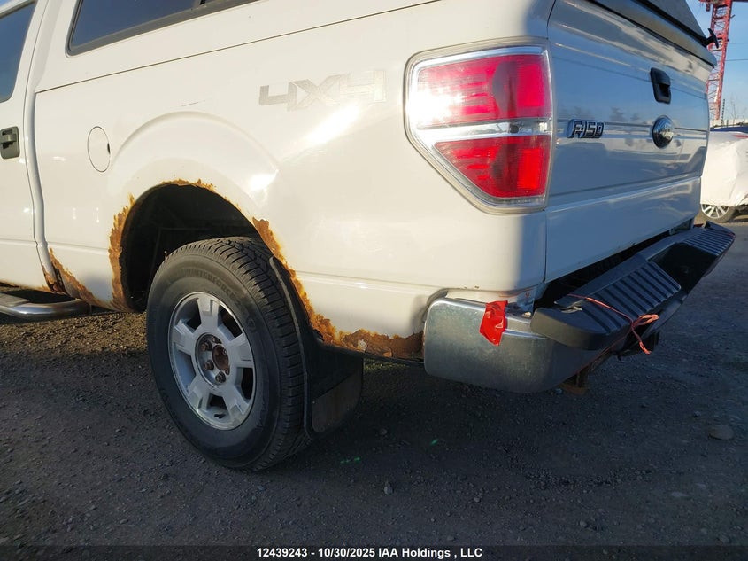 1FTFW1E81AFB31479 2010 FORD F-150 photo no. 12