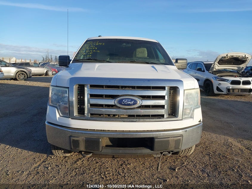 1FTFW1E81AFB31479 2010 FORD F-150 photo no. 13